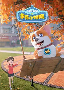 《飞狗莫柯之家有小短腿》：萌宠治愈系的爆笑温情，让快乐不止一点点